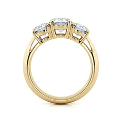 Round Diamond Trilogy Engagement Ring